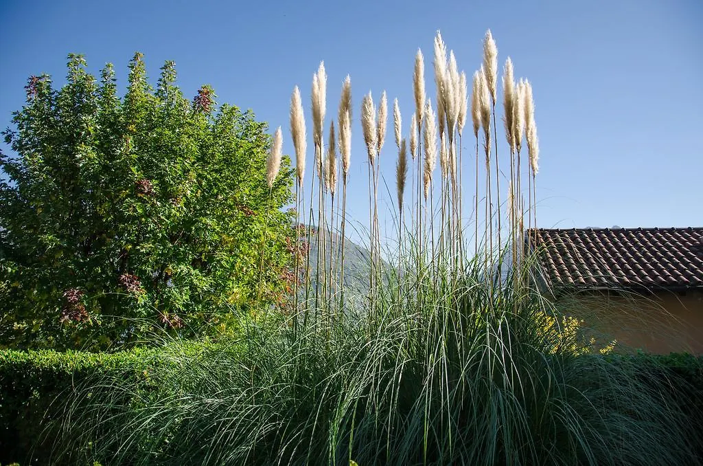 Sole Lago Apartment Acquaseria