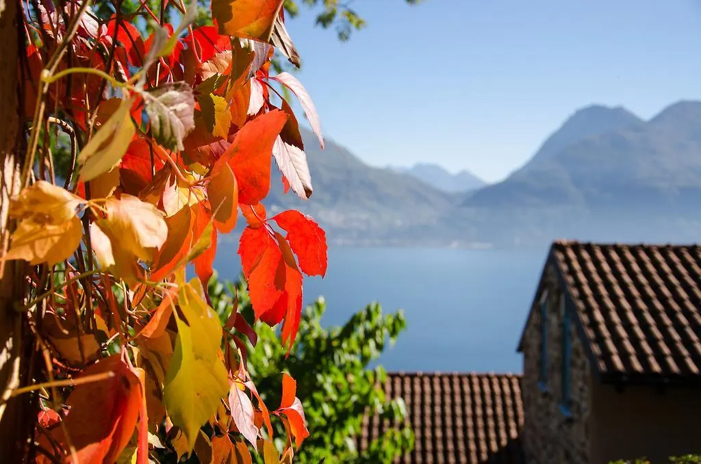 Sole Lago Apartment Acquaseria