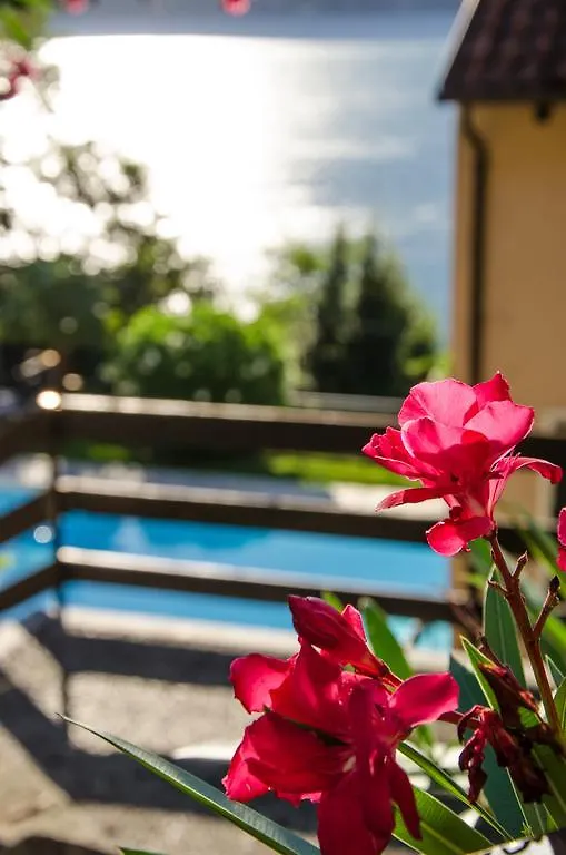 Sole Lago Apartment Acquaseria Italy